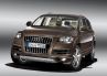 Audi Q7 � Di�tkur f�r den Dicken